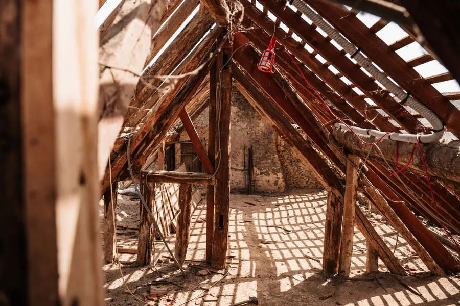Rafters and roof framing in an attic space showing the insulation line