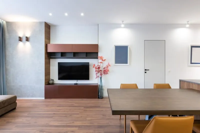 Fitted cabinet wall with television in a modern apartment living room